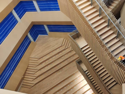 南海区文广旅体局局长刘夏远：“四剂”齐下，以文化赋能新枢纽建设