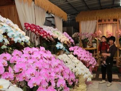 粤东最大花卉基地：一条繁花路，如何带旺广货行天下？