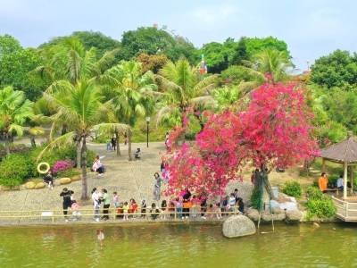 推进绿美生态建设，把种好树体现在城市绿量提升上｜江门两会