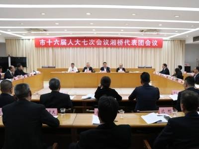 治理难题如何解？湘桥代表团有话说