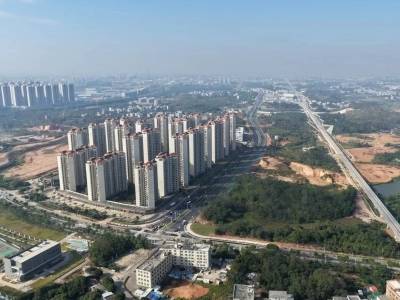 “未来发展核”起势，茂名“一主两副”战略带来什么变局？｜茂名大道