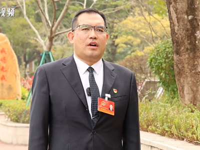 板芙镇党委书记闫东平：加快打造万亩千亿产业平台｜中山两会