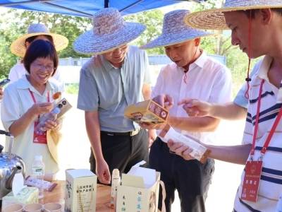 新一年，潮州人大这样干