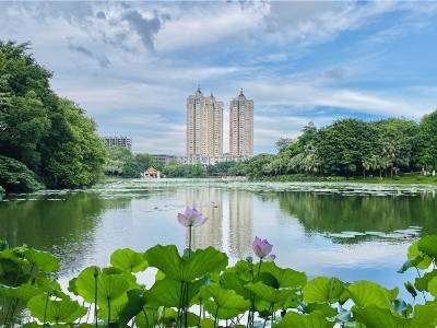 杨永聪：以“人民设计师”制度激活江门城市设计美学基因