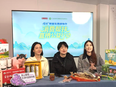 溯源桂北深山好物，媒体+粤桂协作赋能舌尖与乡村双向奔赴