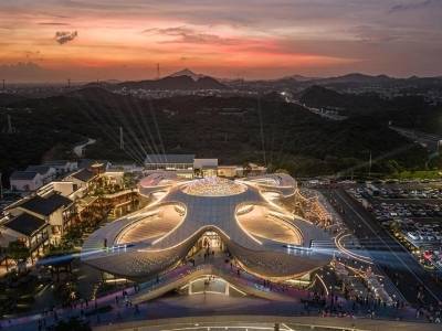 茂名市委书记：“五棵树一条鱼一桌菜”里的施工图丨市委书记抓乡村振兴2025年度盘点