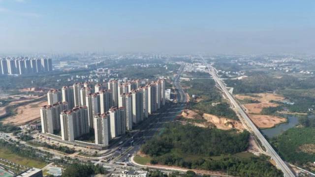 “未来发展核”起势，茂名“一主两副”战略带来什么变局？｜茂名大道