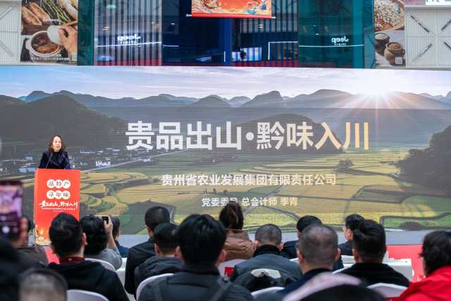 贵州省农发集团党委委员、总会计师季青作主题推介。