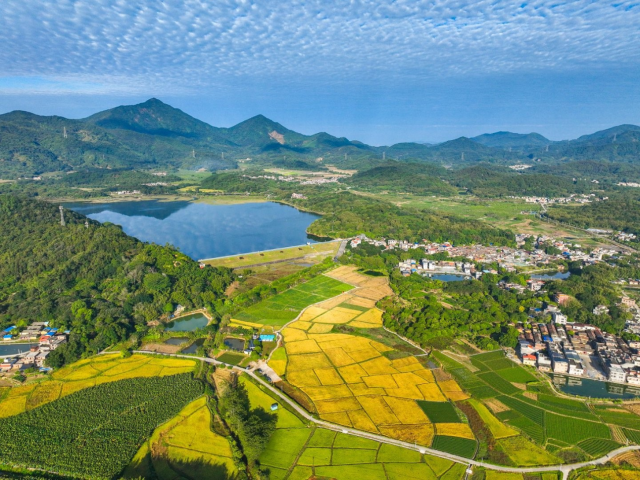 南方乡村振兴综合体入驻派潭镇