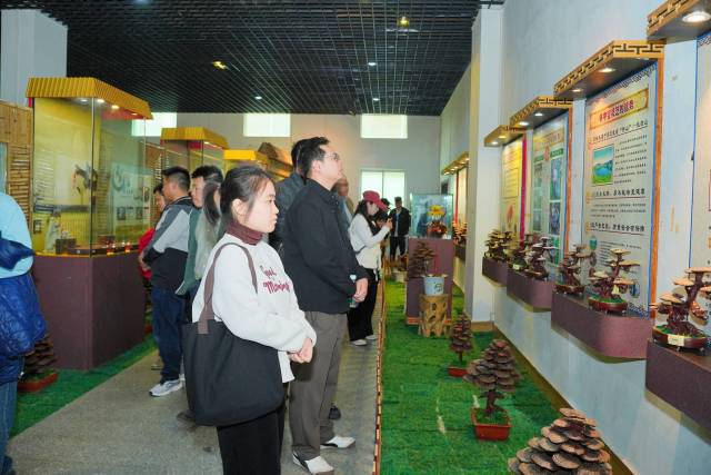 学员在林中宝饮食文化馆参观交流