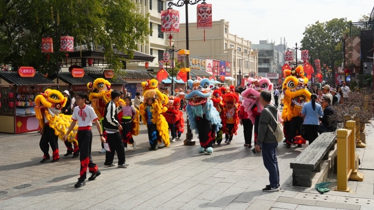 以狮会友，珠港澳情融三地共庆新春