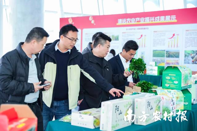 与会嘉宾现场参观了解阳山西洋菜。