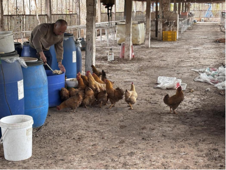 大湖镇洪升种养专业合作社