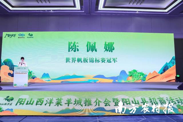 世界帆板锦标赛冠军陈佩娜点赞阳山西洋菜。