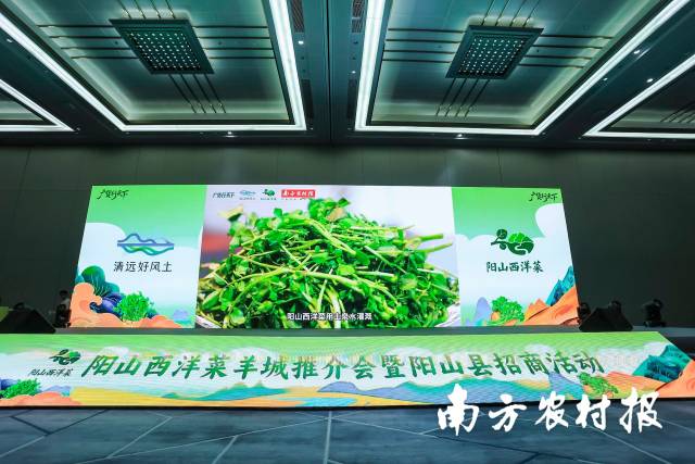 “广货行天下”粤味珍品·清远好食材阳山西洋菜羊城推介会暨阳山县招商活动现场。