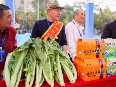 广绣、美食、健康好物……这个周末，去白云万达赶一场特别的“军创大集”