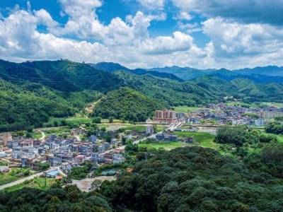 从“两个50%”看中国绿色发展实践