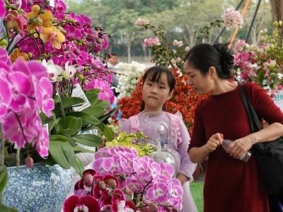 马上有花，带福回家！天河设置13个便民花市29个便民购花点