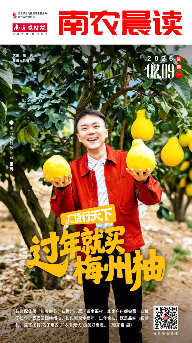 南方农村报 巢芮 制图