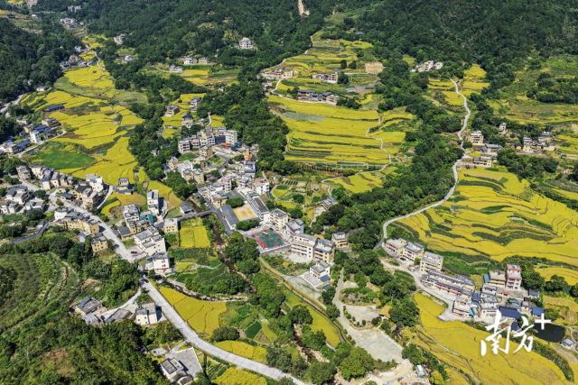 位于粤桂边界风貌走廊的茂名信宜市贵子镇秋风根村。骆伟玲 摄