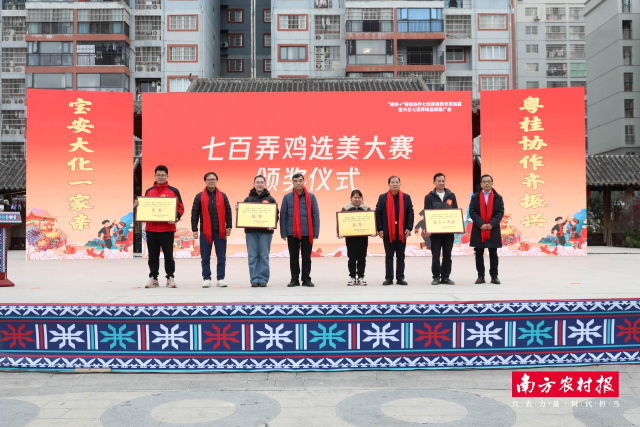 经过激烈角逐，“七百弄鸡选美大赛”冠、亚、季军及“最具人气鸡”诞生。