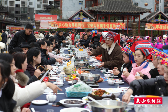 “粤桂同心·七百弄鸡全鸡宴”隆重开席。