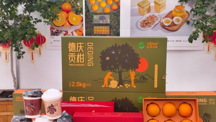 广货行天下！德庆贡柑甜蜜长春农博会