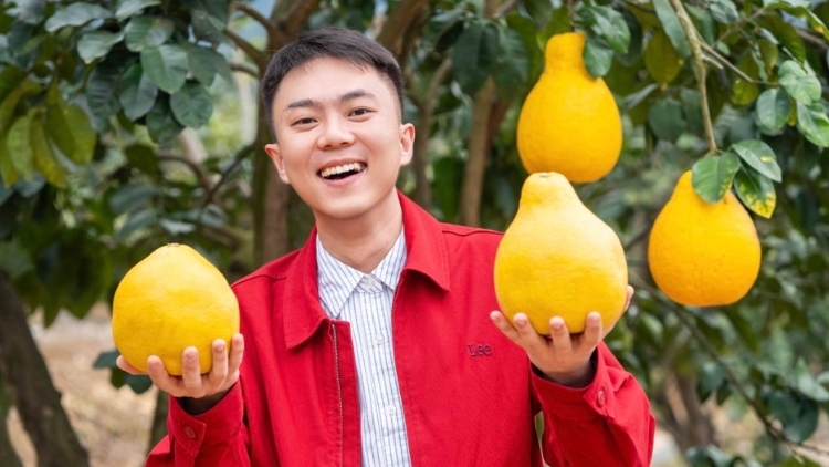 南农晨读 | 过年就买梅州柚
