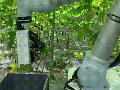 佛山产研院7年孵化170多家企业，为产业链补上“技术拼图”