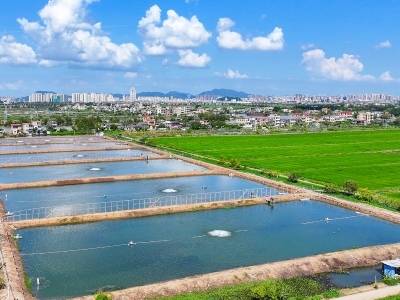 大学实验室搬到了坦洲鱼塘｜百千万 中山范