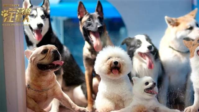 273只萌犬“参演”，《营救汪星人》拍摄挑战与笑料并存