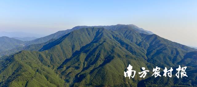 惠州罗浮山省级自然保护区