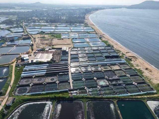 阳江市阳西县水产种苗基地
