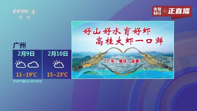 高桂大虾登陆央视。