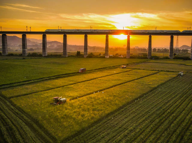 主会场田园风光。  