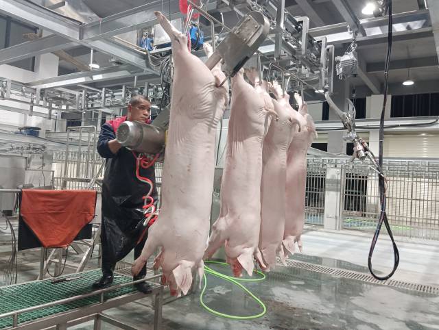 工人正在分割作业。