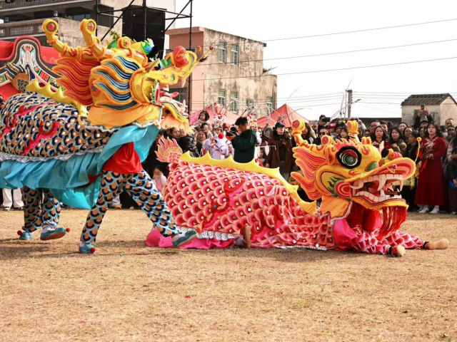 龙狮表演吸引众人围观。  