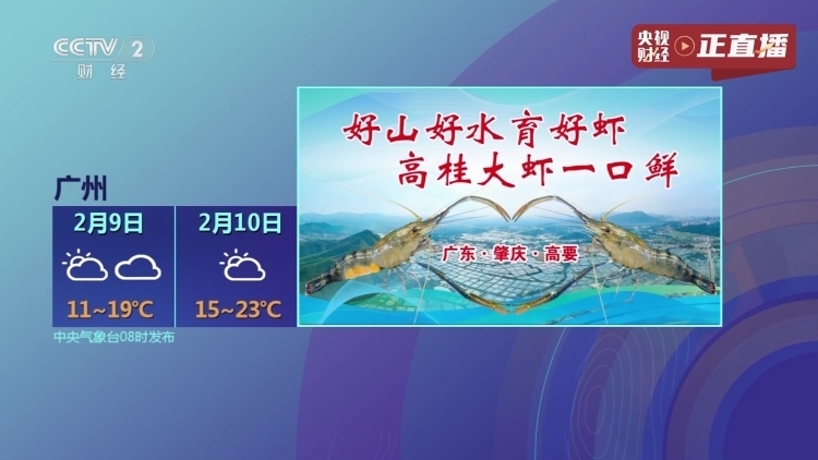 高桂大虾登央视，鲜美广货行天下