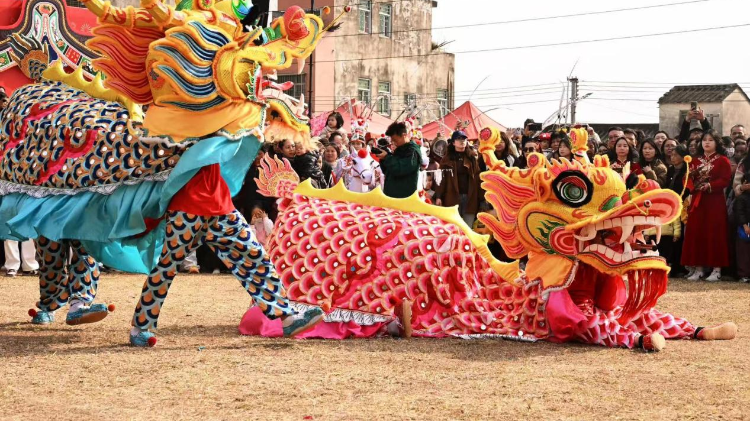 百人舞林大会，村晚好戏连台，汕头澄海“莲上新年之约”燃爆