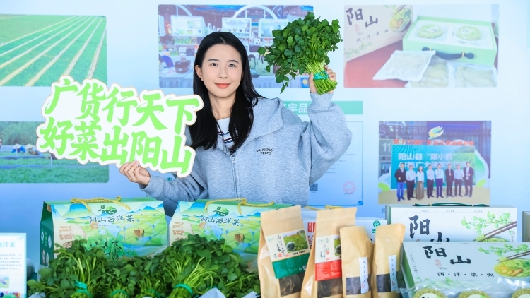 南农晨读 |  广货行天下 好菜出阳山