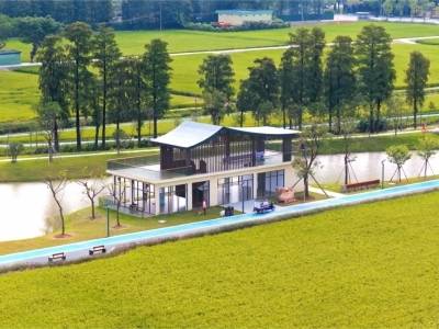 东莞市委书记：探索超大城市乡村振兴样本丨市委书记抓乡村振兴2025年度盘点