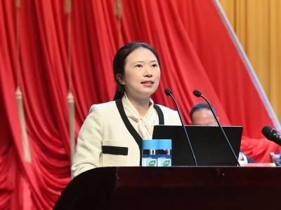 惠阳区政协委员王琳：激活惠港红色资源，打造湾区文旅廊道