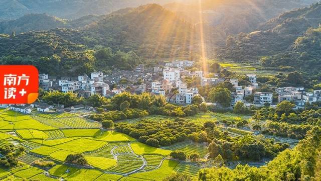 收入连续多年涨得比城里人快，广东农民怎么做到的？