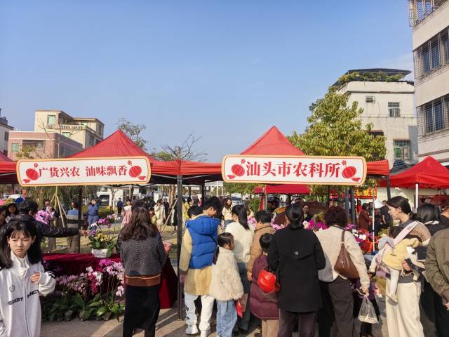 汕头市农科所展位人气满满。