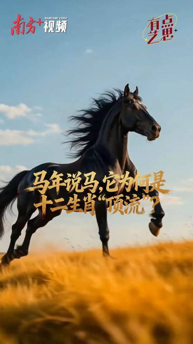 马年说马，它为何是十二生肖“顶流”？| 有点艺思