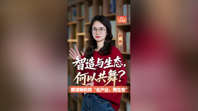 南方视评｜智造与生态，何以共舞？