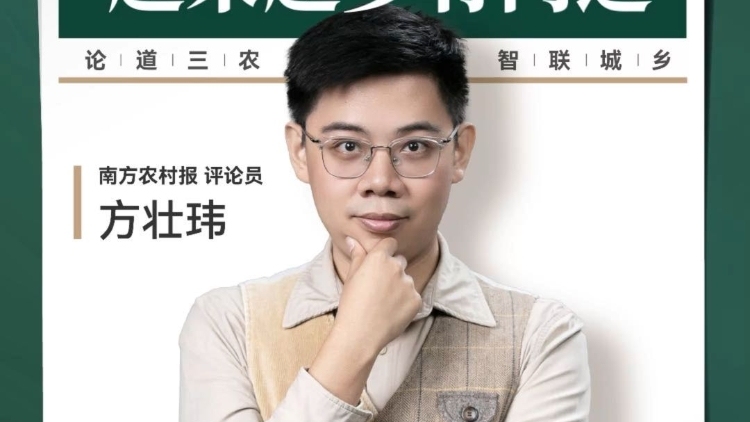 兴农评 | 广东村民“年终奖”，越来越多有门道