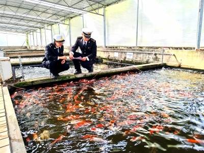 南方日报要闻｜江门锦鲤，第一次“游”到欧盟