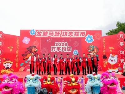 来“小龙故里”，逛花市沉浸式体验岭南年味