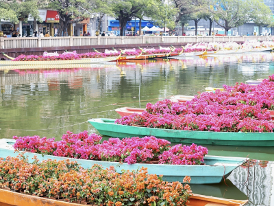 至潮至靓！佛山岭南水上花市开幕，5天水陆狂欢年味浓
